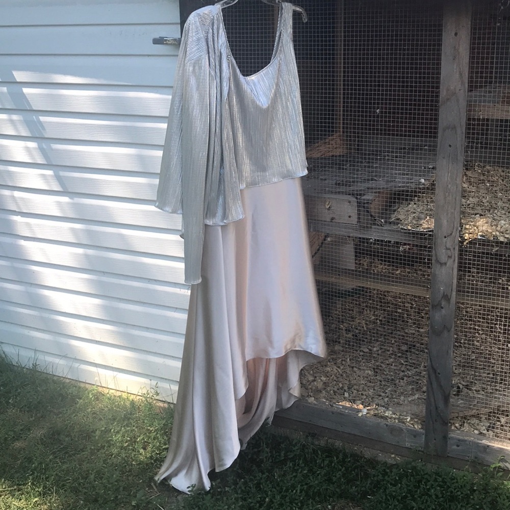 Beautiful silver/gold /champagne cocktail dress